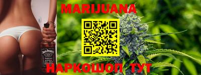 гидра Моздок
