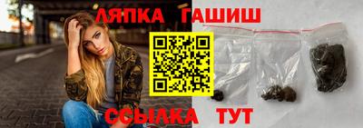 гидра Моздок