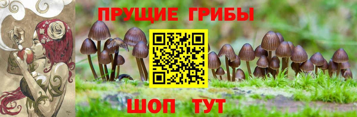 Галлюциногенные грибы мухоморы  Псилоцибиновые грибы ЛСД  Вичуга  Вход с VPN 