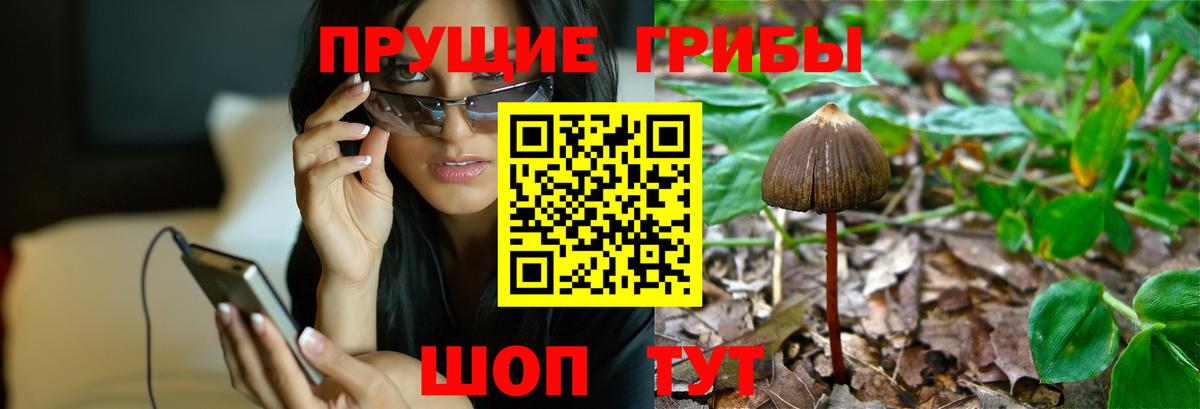 Вичуга  ГАШ  Гашиш  ЭКСТАЗИ  Вход с VPN  Alpha PVP СК   Меф МЯУ МЯУ кристаллы 